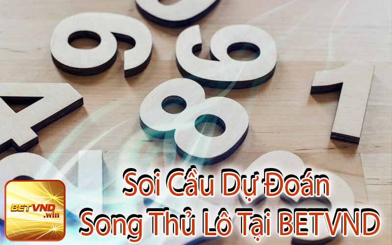 Soi Cầu Dự Đoán Song Thủ Lô Tại BETVND